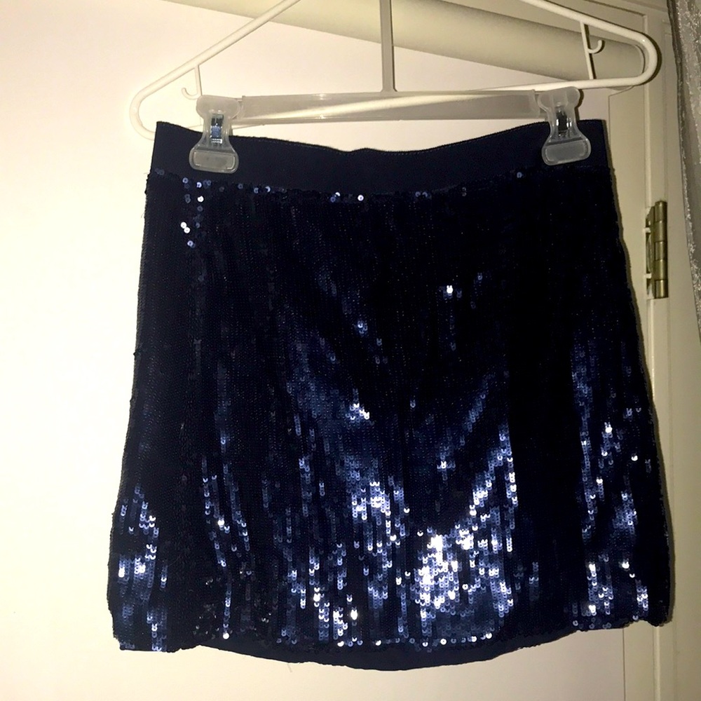 JCrew Collection Sequenced Skirt